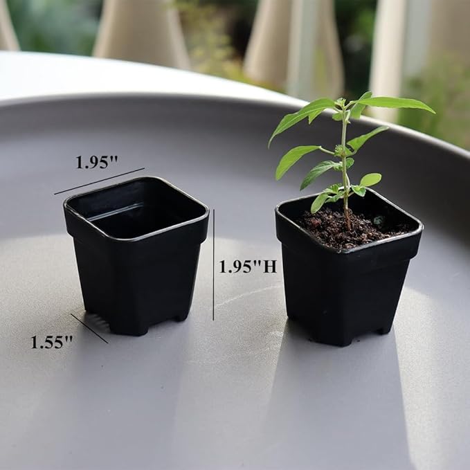 BangQiao 200 Pack 1.95 Inch Tiny Black Plastic Square Nursery and Seedling Pot, Mini Transplant Seed Starter Planter with Drain Hole for Germination, Herb, Succulent