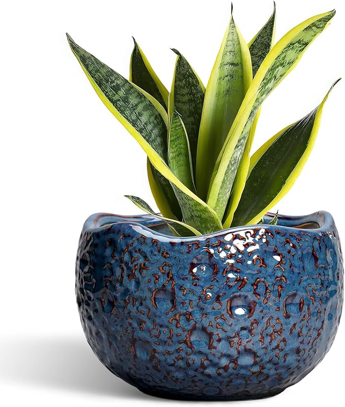 Thirtypot 8 Inch Plant Pot - Ceramic Planter for Indoor Outdoor Plants, Round Unique Plant Pots with Drainage Hole, Modern Decorative Flower Pots, Home Decor, Gifts for Plants Lovers, Retro Blue
