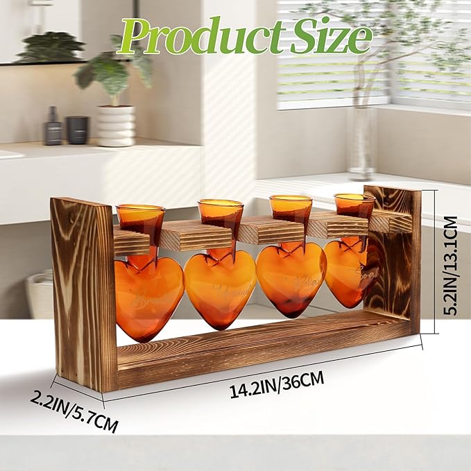 CYZglass Plants Propagation Stations Plant Terrarium Kit for Bathroom Glass Planters for Indoor Plants Bathroom Decor Accessories - Relax Soak Unwind Breathe