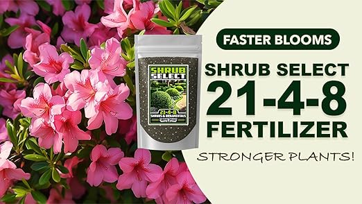 Fertilizer Commercial Grade | Shrub Select 21-4-8 | 3 Pounds | Custom Two-Stage Professional Mix Blend | Long-Term Controlled Release Feed | Shrubs & Tropical Ornamentals | 5-6 Month | Micronutrients