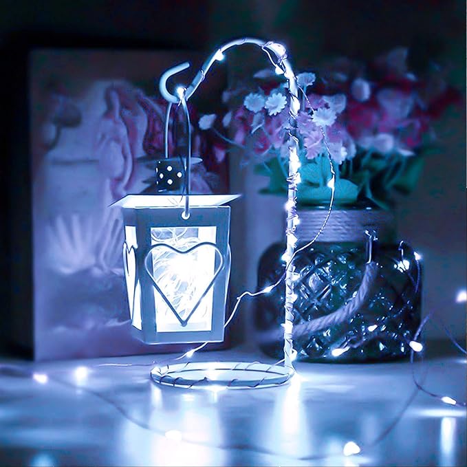 RUICHEN Silver Wire 33 Ft 100 LED USB Fairy String Lights with On/Off Switch (Cool White)