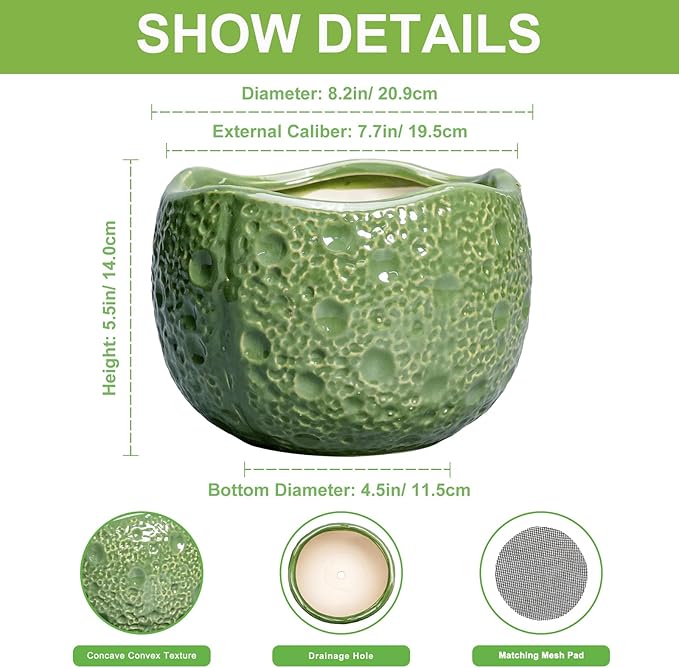 Thirtypot 8 Inch Plant Pot - Ceramic Pots for Plants with Drainage Hole, Round Decorative Plant Pots for Indoor Outdoor, Modern Unique Flower Pot, Office Decor, Garden Gifts, Green