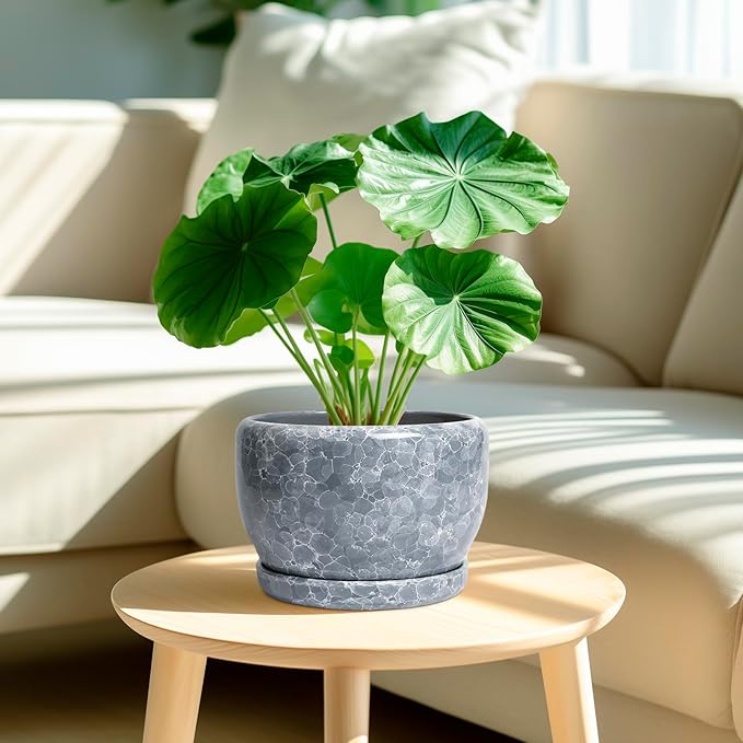 SQOWL 8 inch Plant pots Indoor - Ceramic Planter with Drainage Hole and Plant Saucer, Decorative Ceramic Flower Pot Outdoor, Modern Round Planter, Patio Porch Garden Decor, Garden Gifts, Gray