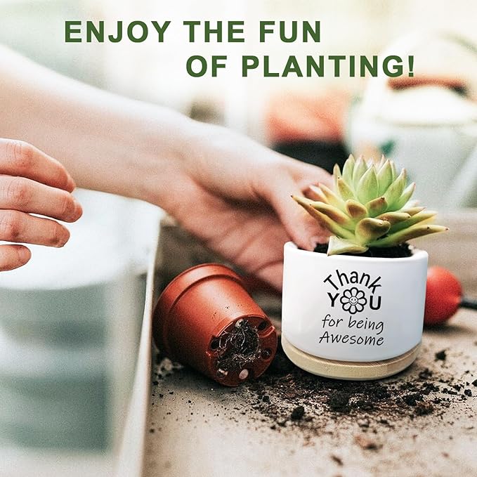 Aryabtya Thank You Gifts for Women, Succulent Planter, Flower Cactus Plant Pot, Employee Appreciation Gifts for Coworkers Nurse Friends Women, Thank You for Being Awesome (No Plants)