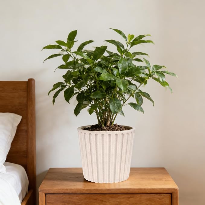 Ekirlin 7 Inch Modern Planter, Resin Sand Indoor Plant Pot, Graceful Curves Textures Design with Drainage Hole, Removable Rubber Stopper and Non-Slip Soft Pad, Decorative Pot for Outdoor/Garden Plants