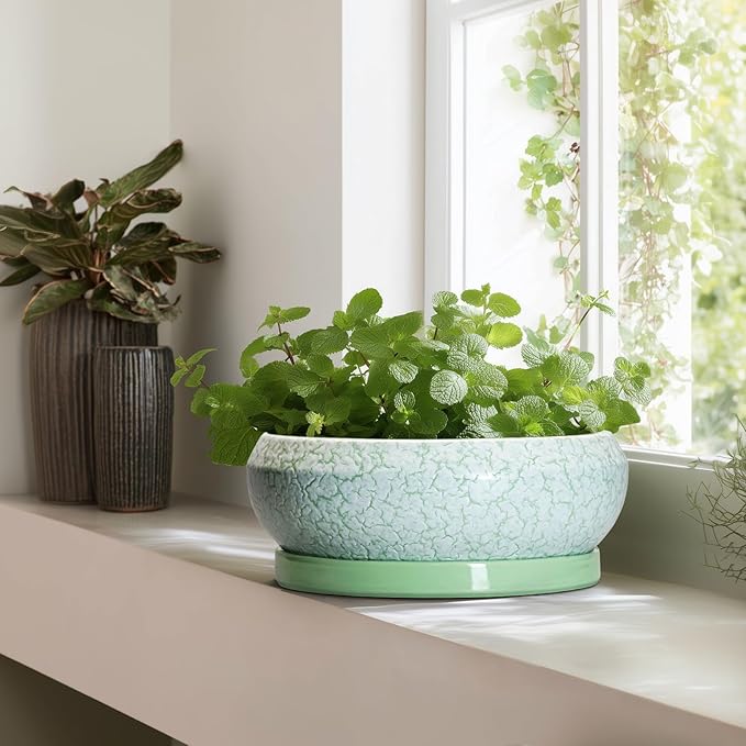 EPFamily Bonsai Pots - 13 Inch Ceramic Succulent Pots for Indoor Outdoor, Large Shallow Planter with Drainage Hole and Saucer, Round Flower Succulent Planter, Patio Decor, Gifts for Women, Green