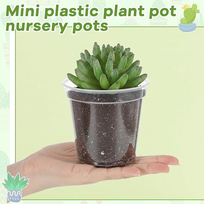 Yaomiao 30 Pcs 4 Inch Clear Mini Plastic Plant Pot Nursery Seedling Pots Seed Starter with Drainage Holes for Indoor Outdoor Garden Succulent Plants Cuttings Transplanting