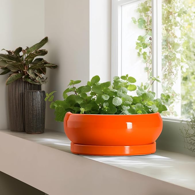 EPFamily Bonsai Pots - 13 Inch Ceramic Succulent Pots with Drainage Hole and Saucer, Shallow Planter for Indoor Outdoor, Bonsai Planters, Large Planter Bowl, Porch Decor, Gift for Plant Lover, Orange
