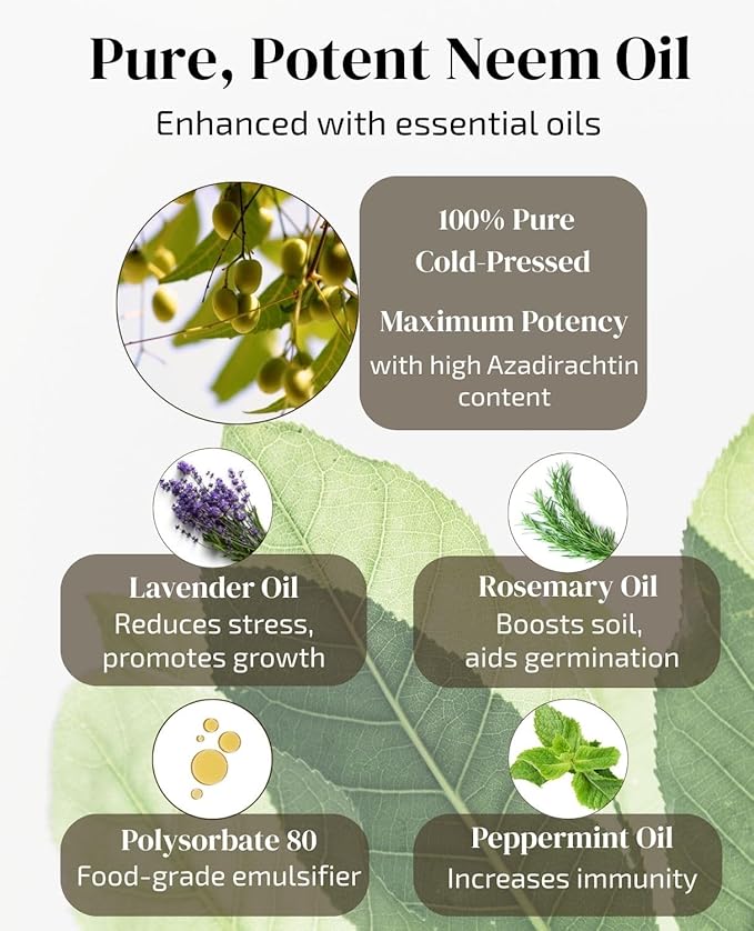 Neem Oil for Plants Refill (Makes 30 Spray Bottles, 480 fl oz) Infused with Lavender, Peppermint & Rosemary Essential Oils (2.7 fl oz)