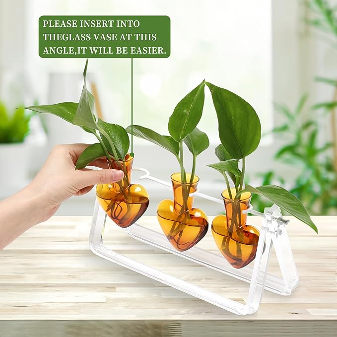 CYZglass Clear Plant Terrarium Propagation Stations with Acrylic Stand Birthday Gifts for Women Office Home Decor