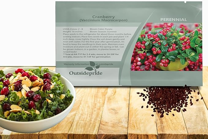 Outsidepride Cranberry Seeds - 250 Pcs. Perennial, Easy to Grow & Low Maintenance, Fruit Seeds for Planting Nutrient-Rich Berries with Purple Blooms for Pollinator Gardens & Container Displays
