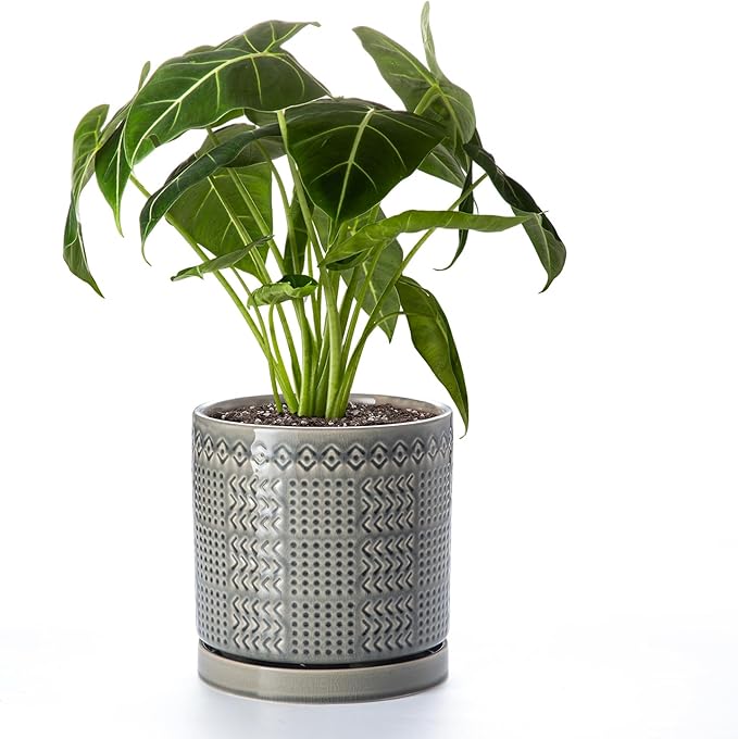 POITONRU Indoor-Outdoor Ceramic Plant Pots: 8 Inch Flower Pots with Drainage Hole & Saucer - Decorative Ceramic Pots for Plants Herbs Succulents - Home Garden Patio Lawn Use