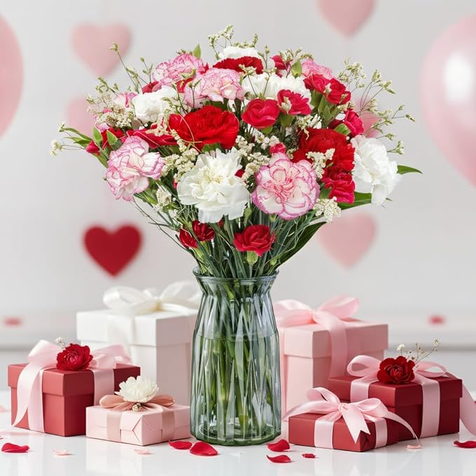 Benchmark Bouquets - 25 Stem Seasonal Carnations (Glass Vase Included) - Fresh Flowers for Next Day Delivery - Gift for Birthday, Anniversary, Sympathy, Get Well, Congratulations, Valentine's Day
