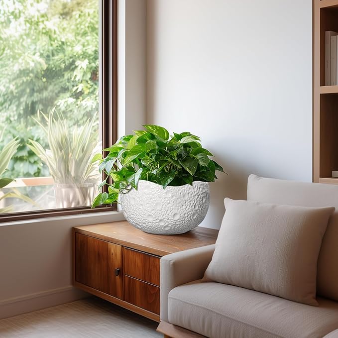 Thirtypot 10 Inch Plant Pot - Ceramic Planter for Indoor Outdoor, Round Bonsai Pots, Decorative Flower Pots with Drainage Hole, Modern Unique Planters, House Decor, Home Gifts, White