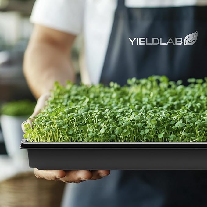 Yield Lab 10x20 Inch Black Plastic 50 Pack Plant Propagation Tray – Growing Trays for Garden, Planting, Seedling, Soil & Hydroponic Horticulture - Microgreen Trays Grow Plants - No Drain Holes
