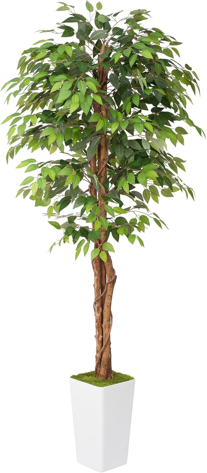 Waoops Artificial 7Ft Ficus Silk Tree with Tall Planter - Faux Plants Indoor with Natural Wood Trunk - Large Tall Fake Plants for Home Office Living Room Patio Decor