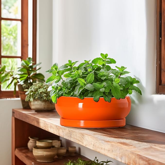 EPFamily Bonsai Tree Pots - 10 Inch Ceramic Pots for Succulent Indoor Outdoor, Bonsai Pot with Drainage Hole and Tray, Round Planter Bowl, Shallow Planter, Home Decor, Housewarming Gift, Orange