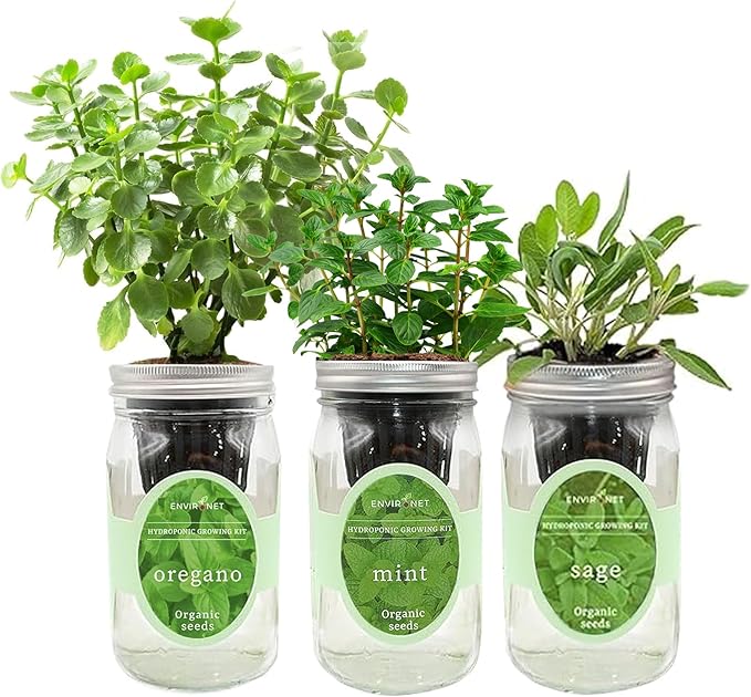 Environet Hydroponic Herb Growing Kit Set, Self-Watering Mason Jar Herb Garden Starter Kit Indoor, Windowsill Herbs Garden. Grow Your Own Herbs from Organic Seeds (Mint, Sage, Oregano)