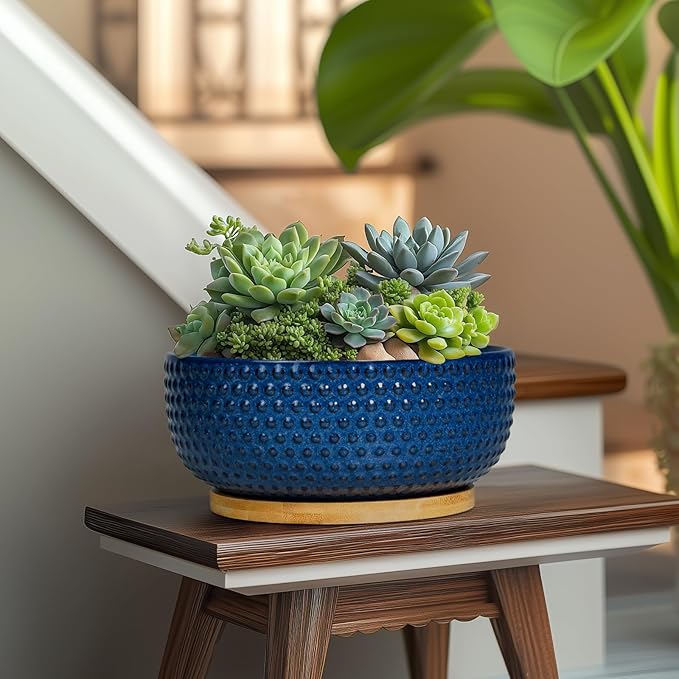 EPFamily Bonsai Pots - 8 Inch Ceramic Pots for Succulent Plants & Bonsai Tree, Planter with Drainage Hole and Saucer, Modern Round Decorative Flower Planters, House Decor, Gifts for Women Man, Blue