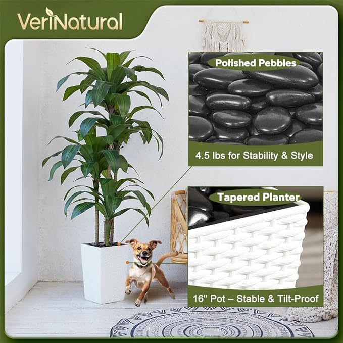 VeriNatural Artificial Dracaena Tree 6FT - Fake Tree with White Taper Planter & Pebbles - UV Resistant Faux Yucca Tropical Plant - Artificial Trees for Home Office Living Room Decor Indoor Outdoor