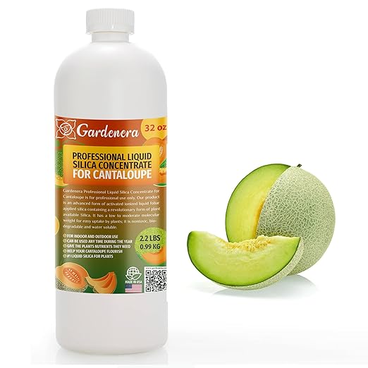 𝐏𝐑𝐎𝐅𝐄𝐒𝐒𝐈𝐎𝐍𝐀𝐋 Liquid Silica Plant Supplement - 32oz - Cantaloupe Plants Liquid Silica Boost Fertilizer - Stronger Stems & Healthy Leaves for Indoor & Outdoor Cantaloupes(Makes 180 Gallons)