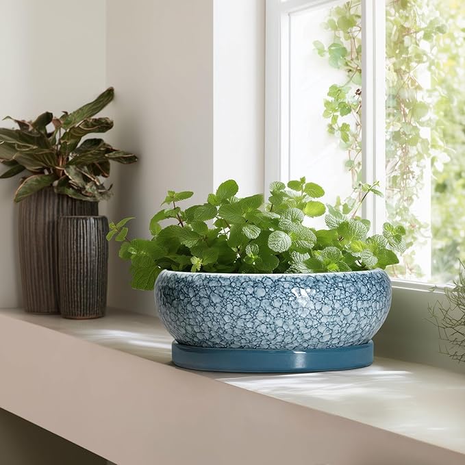 EPFamily Large Succulent Planters - 13 Inch Ceramic Bonsai Pots with Drainage Hole and Saucer, Shallow Plant Pots Indoor Outdoor, Large Planter Bowl, Round Planter, Garden Decor, Gardening Gift, Blue