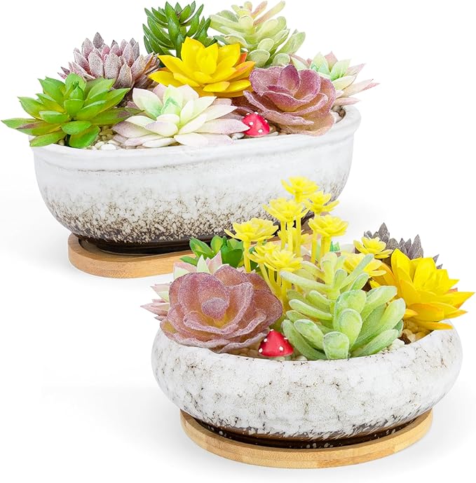 ARTKETTY Succulent Pots, 1 Rectangle Planter + 1 Ceramic Bonsai Pot with Drain Tray, 2 Pack Large Shallow Succulent Planters for Indoor Plants, Round Cactus Flower Plant Pot for Desk Windowsill Decor