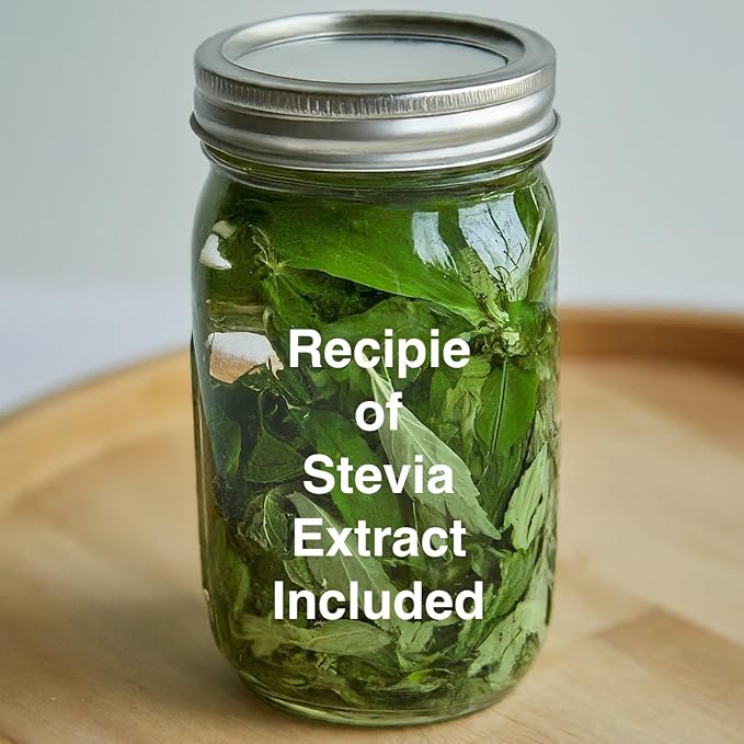 Natural Herbal Live Zero Calorie Sugar Replacement. Stevia Plants. Sweet Leaf, Sugar Leaf, Natural Sugar Substitute Herb, Easy to Grow (4 stevia sacs)