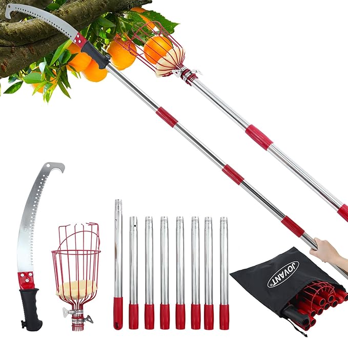 2-in-1 12 FT Pole Saw and Fruit Picker for Tree Trimming and Fruit Harvesting, SK5 Blade and High Carbon Steel Fruit Picker for Cutting High Branches and Fruit Grabber, Stainless Steel Pole