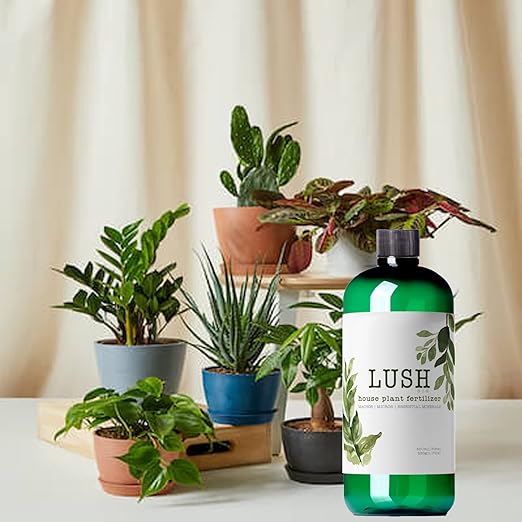 Lush Houseplant Fertilizer – Concentrated Liquid Plant Food (Makes 50+ Gallons) – 3-1-2 NPK for Indoor Plants, Monstera, Pothos & More - 500ml Concentrate