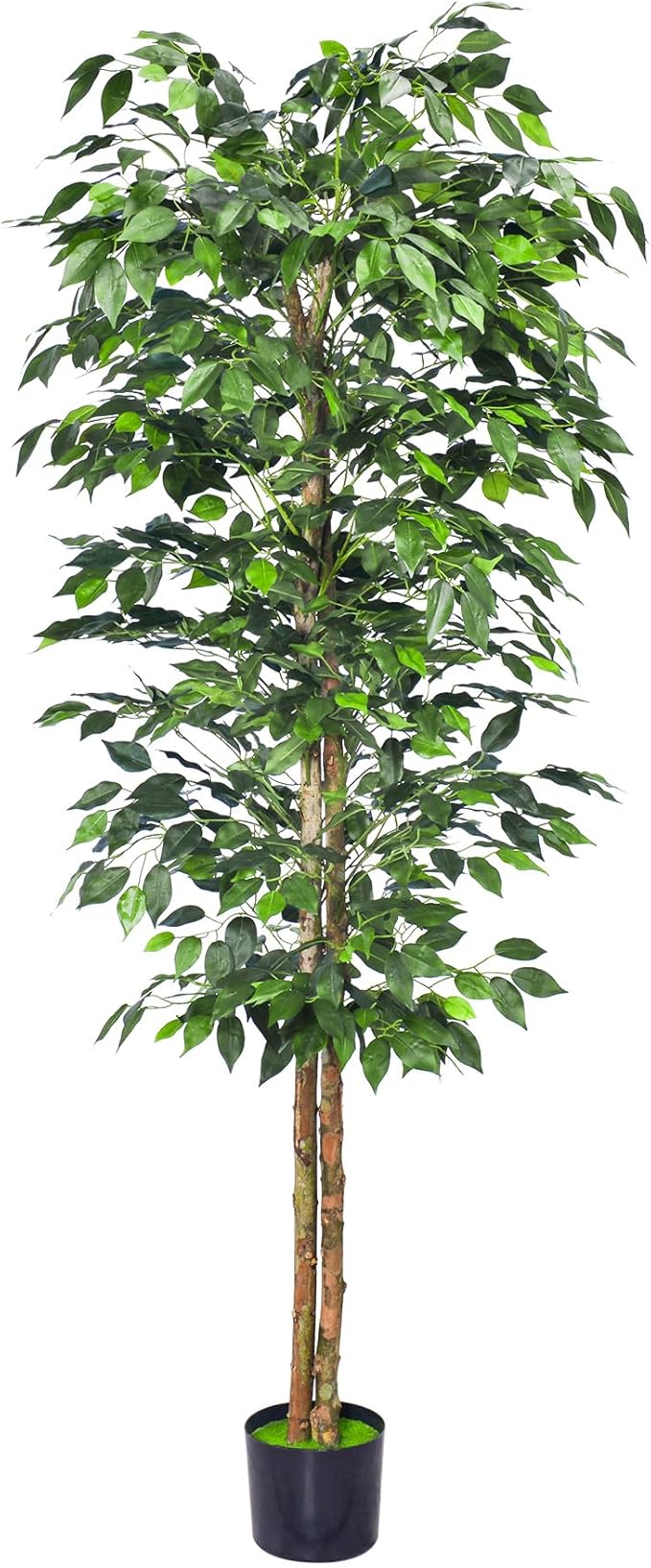 HAIHONG 1Pack 6FT Artificial Ficus Tree with Realistic Leaves and Natural Trunk, Faux Ficus Tree with Sturdy Plastic Nursery Pot, Fake Ficus Tree for Office Home Farmhouse for Indoor Outdoor Decor