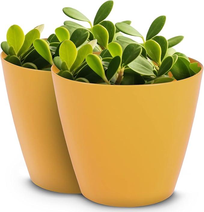 Headwind Charlevoix Planters– 6" 2 Pack Plastic Plant Pot in Harvest Yellow, Indoor & Outdoor Pots for Plants with Drillable Drainage Hole, Decorative Plant Pot, Flower Pots Outdoor for Garden