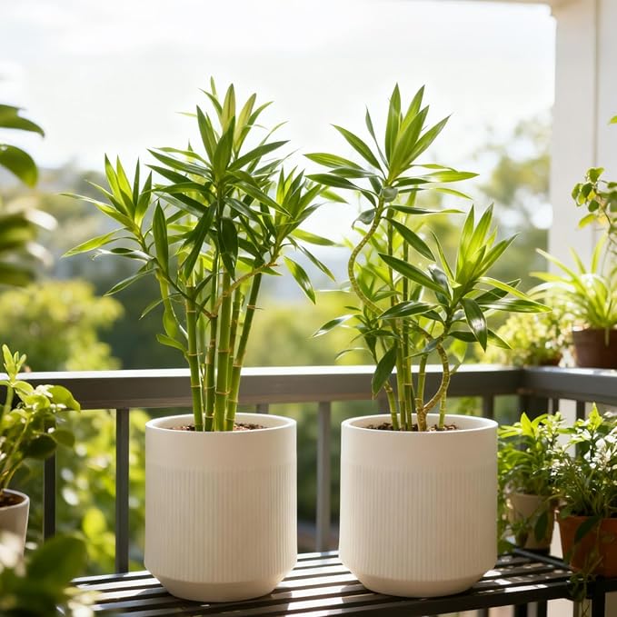 Yaghpy Plant Pots，Set of 2 Plastic Large Pots for Indoor Plants,Flower Pots Outdoor Planters with Drainage Hole and Seamless Saucer,(White 12Inches)