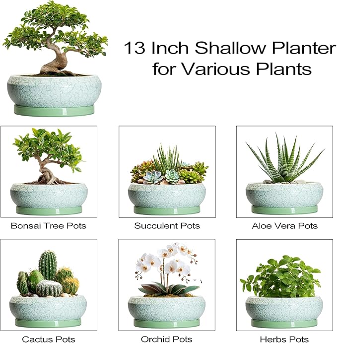 EPFamily Bonsai Pots - 13 Inch Ceramic Succulent Pots for Indoor Outdoor, Large Shallow Planter with Drainage Hole and Saucer, Round Flower Succulent Planter, Patio Decor, Gifts for Women, Green