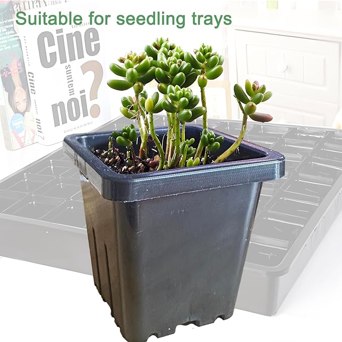 Gyfofix 2 Inch Square Plant Nursery Pots (Black+Clear),50Pcs Seedling Planter Seed Starter Pots,Sturdy Small Plastic Pots with Drainage Holes