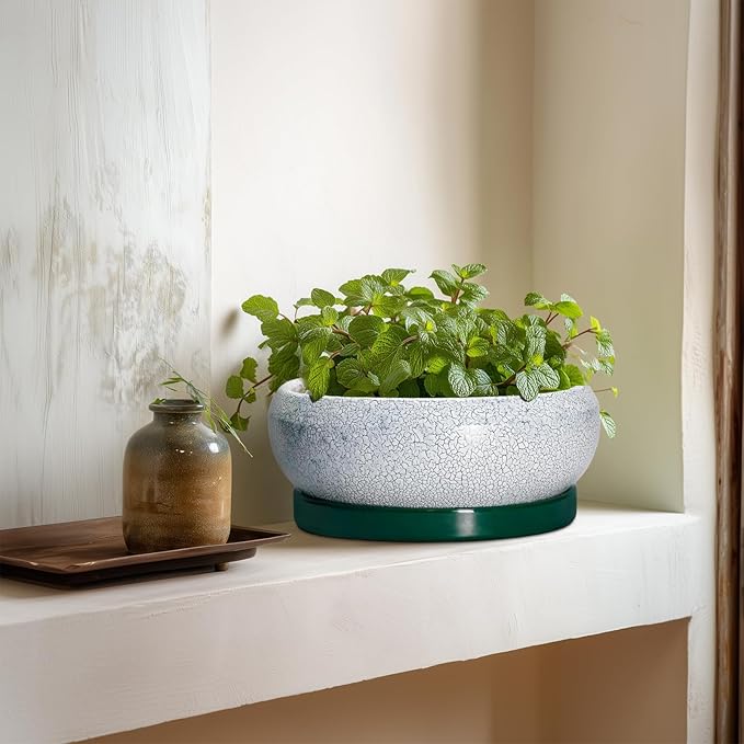EPFamily Bonsai Tree Pots - 8 Inch Ceramic Succulent Pot with Drainage Hole and Tray, Bonsai Pots, Shallow Planters for Indoor Outdoor, Round Planter Bowl, House Decor, Gifts for Plant Lovers, Green