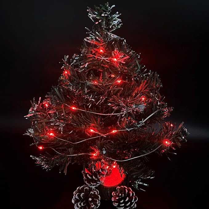 2 Pack Battery Operated Mini Lights,Indoor Led Fairy Lights with Timer 6 Hours on/18 Hours Off for Wedding Party Decorations,50 Count LEDs,18 Feet Silver Wire (Red)