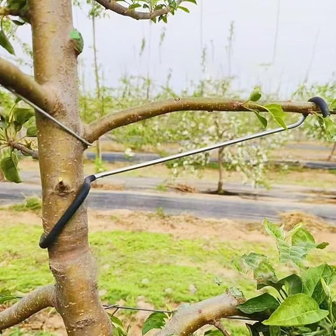 Fruit Tree Branch Limb Spreader 20PCS Limb Spreader Versatile Durable Solution for Tree Support Branches Extension (10 inches)