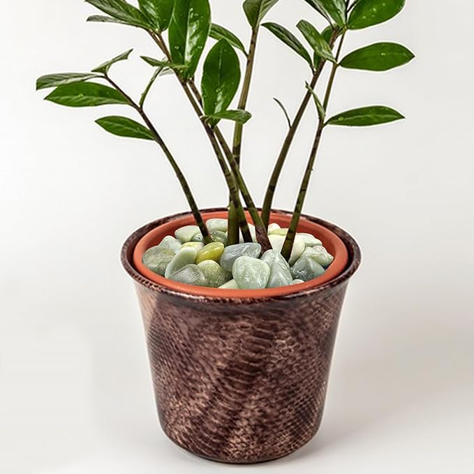 FANTIAN 5 lbs Green River Rocks for Plants, 2-3 Inch Large Pebbles for Indoor Plants, Decorative Stones Rocks for Succulent, Landscaping, Vases, Crafting and Garden
