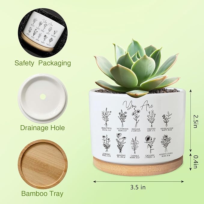 PZJIEAN You are Beautiful Succulent Plant Pot, Cute 3.5 Inch Ceramic Pot, Inspirational Christian Desk Windowsill Pots for Small Plants, Cactus Gifts Plant, Religious Planter (No Plants)