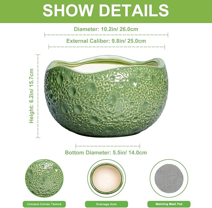 Thirtypot Ceramic Pots for Plants - 10 Inch Plant Pot for Indoor Outdoor, Round Bonsai Pots with Drainage Hole, Modern Planter, Decorative Flower Pot, Living Room Decor, Gifts for Plant Lovers, Green
