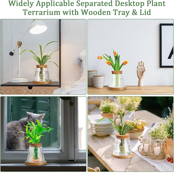 Beeveer 6 Pcs Plants Propagation Station Separated Desktop Plant Terrarium with Wood Lid and Stand, 3 Sizes Glass Planter Propagated Jars Propagation Vases for Indoor Home (Cute Style)