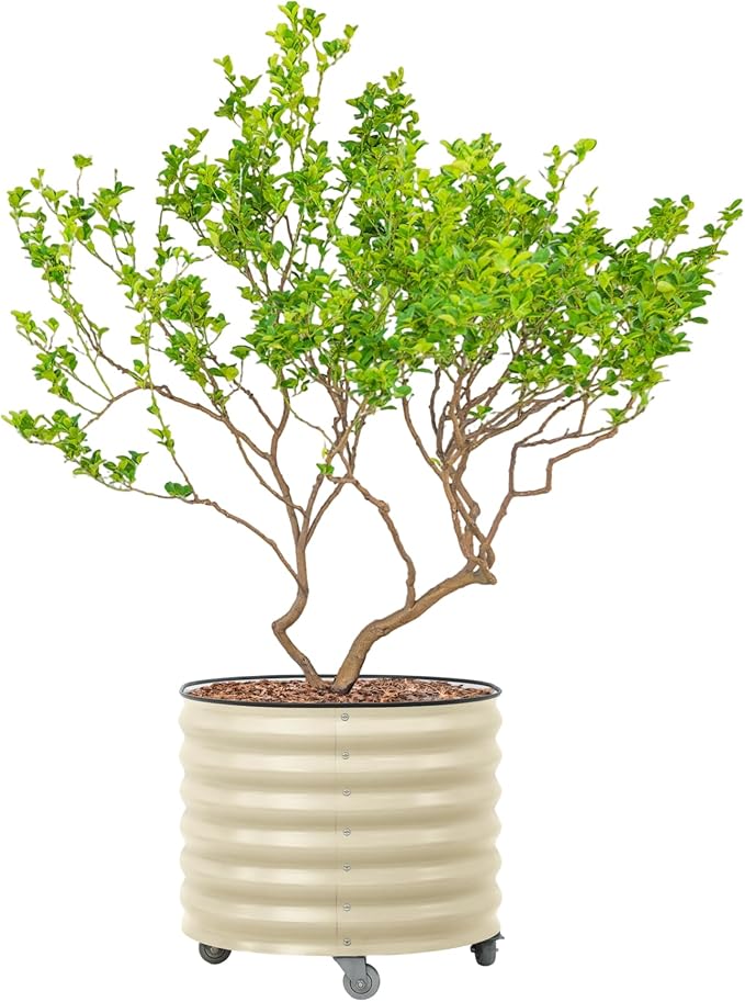 Rolling Metal Citrus Tree Planter Pot, 27″ Round Planter Box for Porch Patio & Backyard, 45 Gallon Large Planter Pot with Wheels for Growing Trees Tomatoes Vegetables and Flowers, Pearl White