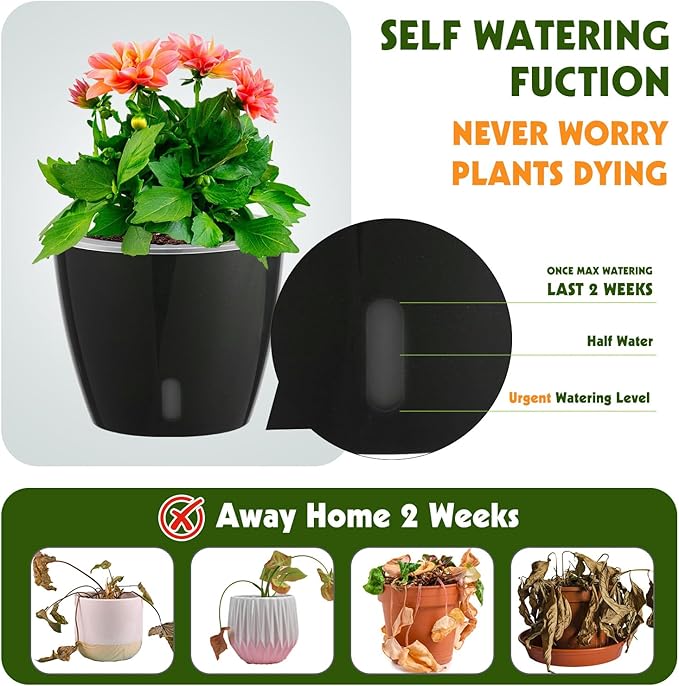 KvyusFlourish Self Watering Pots for Indoor Plants, 12-Pack 5'' Self Watering Planter with Drainage Holes, Small African Violet Pots with Water Level Indicator, Clear Wick Pot, Black