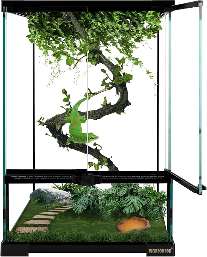 waazoorep 11 Gallon Reptile Glass Tank Vertical Terrarium 12"x12"x18" Habitat Enclosure with Front Openning Door and Top Screen Ventilation for Geckos, Snakes,Tree Frogs,Chameleon