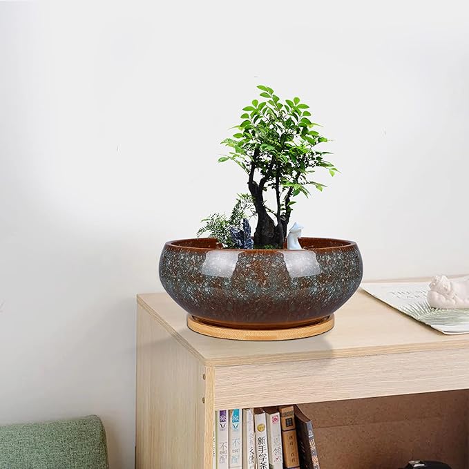 EPFamily 8 Inch Ceramic Bonsai Planter Pot, Glazed Shallow Succulent Planter with Drainage Hole and Bamboo Saucer for Indoor Plants, Green