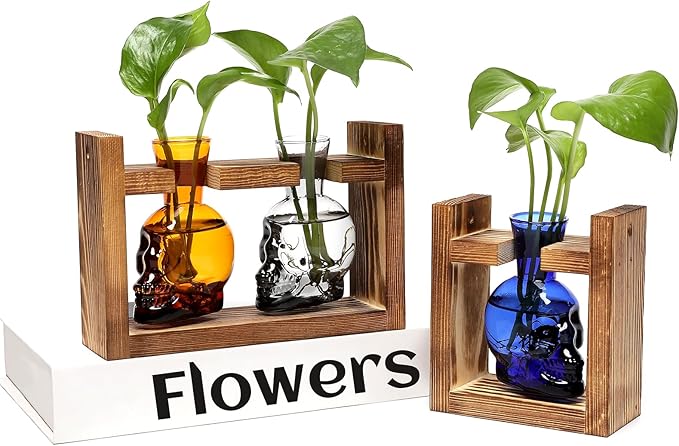 2+1 Plant Terrarium Plant Propagation Station Gifts for Father Halloween Skull Home Office Decor with Wooden Stand