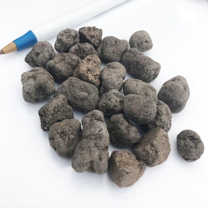Imported Fresh Japanese Omakase Bonsai Fertilizer Slow Release Pellets (Medium)