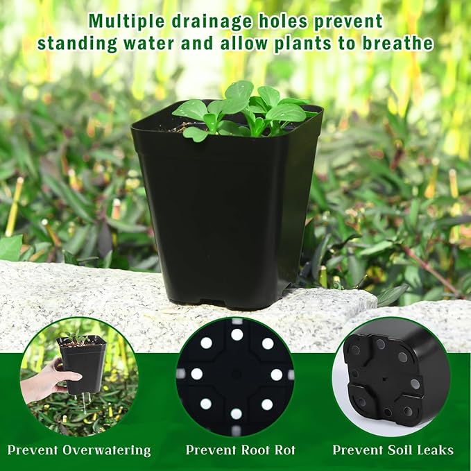 June Fox Plastic Seedling Pots, 60 Pack Square Nursery Pots 4 Inch, Small Plant Pots with Drainage Holes for Seedlings, Succulents, Cuttings (Black)