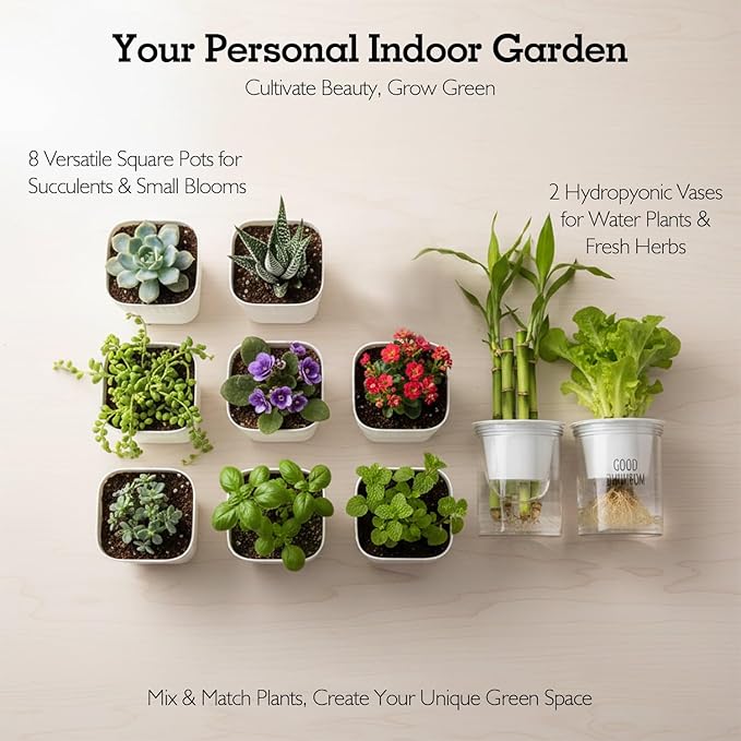 Soliseed Indoor Herb Garden Kit, Window HerbPots, Gardening Tools for Beginners, Kitchen Windowsill Planter, DIY Grow Gift for Home Outdoor Plants- Herb Pots with Drainage Holes